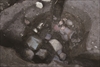 FileNo.215-428.jpg