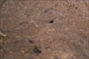 FileNo.215-432.jpg
