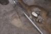 FileNo.215-435.jpg