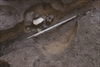 FileNo.215-436.jpg