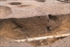 FileNo.215-438.jpg