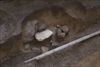 FileNo.215-439.jpg