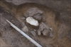 FileNo.215-440.jpg