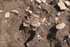 FileNo.215-443.jpg
