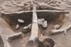 FileNo.215-446.jpg
