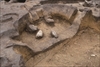 FileNo.215-447.jpg