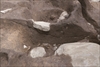 FileNo.215-449.jpg