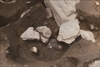 FileNo.215-450.jpg