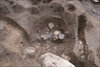 FileNo.215-451.jpg