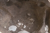 FileNo.215-452.jpg
