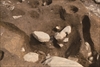 FileNo.215-453.jpg