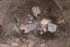 FileNo.215-454.jpg