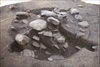 FileNo.215-461.jpg