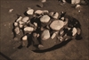 FileNo.215-463.jpg