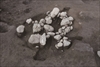 FileNo.215-469.jpg