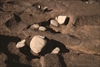 FileNo.215-470.jpg