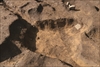 FileNo.215-471.jpg