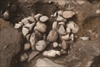 FileNo.215-475.jpg