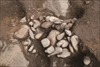 FileNo.215-476.jpg