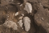 FileNo.215-478.jpg