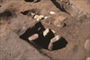 FileNo.215-480.jpg