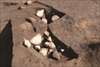 FileNo.215-481.jpg