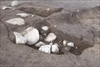 FileNo.215-483.jpg