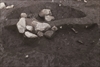 FileNo.215-484.jpg