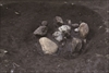 FileNo.215-485.jpg