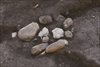 FileNo.215-486.jpg