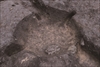 FileNo.215-487.jpg