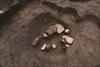 FileNo.215-488.jpg