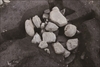 FileNo.215-489.jpg