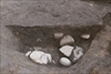 FileNo.215-490.jpg