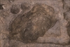 FileNo.215-492.jpg