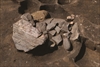 FileNo.215-493.jpg