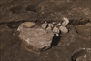 FileNo.215-494.jpg
