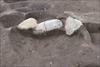 FileNo.215-497.jpg