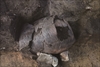 FileNo.215-502.jpg