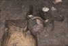 FileNo.215-504.jpg