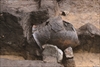FileNo.215-507.jpg