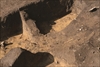 FileNo.215-509.jpg