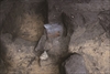 FileNo.215-510.jpg