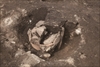 FileNo.215-511.jpg