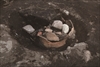 FileNo.215-512.jpg