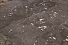 FileNo.215-513.jpg
