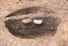 FileNo.215-516.jpg