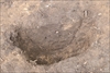 FileNo.215-517.jpg