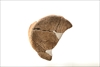 FileNo.215-540.jpg