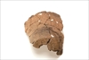 FileNo.215-544.jpg